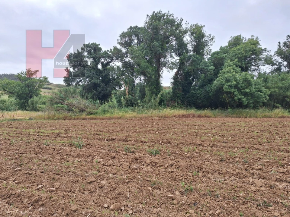 Terreno Agricola ou Rústico para Venda em Sapataria Foto 2