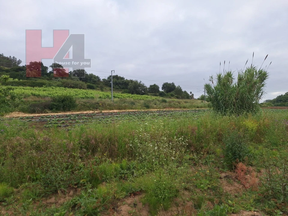 Terreno Agricola ou Rústico para Venda em Sapataria Foto 4