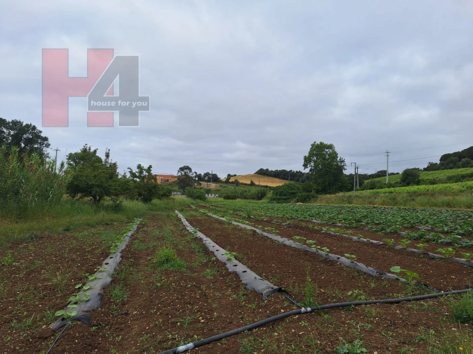 Terreno Agricola ou Rústico para Venda em Sapataria Foto 5