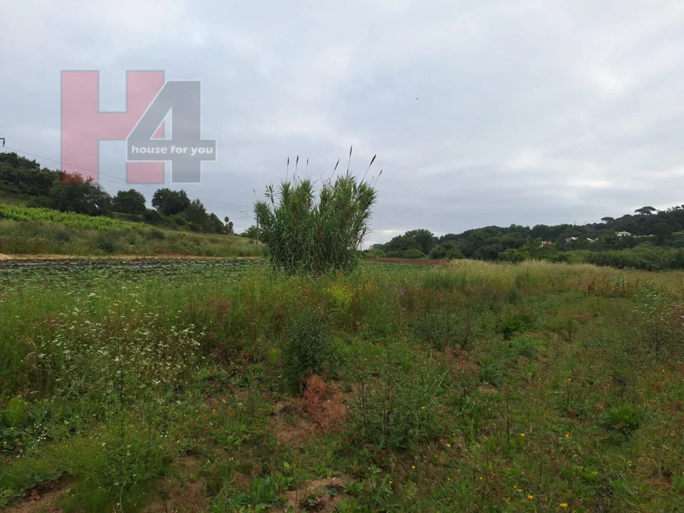 Terreno Agricola ou Rústico para Venda em Sapataria Foto 6