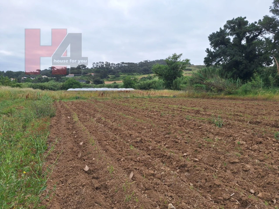 Terreno Agricola ou Rústico para Venda em Sapataria Foto 8
