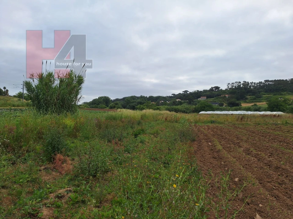 Terreno Agricola ou Rústico para Venda em Sapataria Foto 9