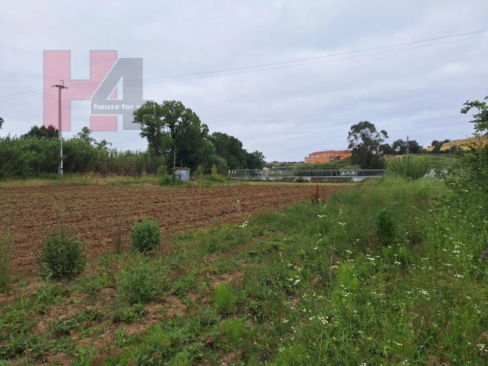 Terreno Agricola ou Rústico para Venda em Sapataria Foto 10