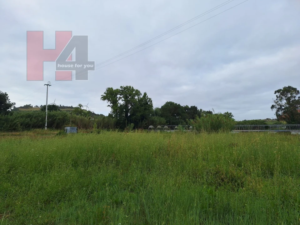 Terreno Agricola ou Rústico para Venda em Sapataria Foto 11
