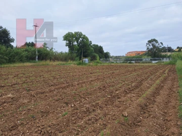 Terreno Agricola ou Rústico para Venda em Sapataria