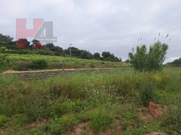 Terreno Agricola ou Rústico para Venda em Sapataria