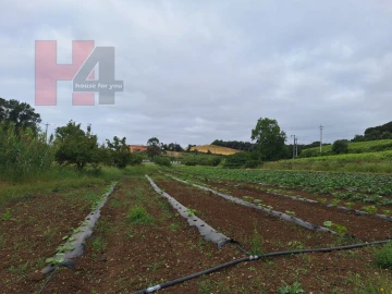 Terreno Agricola ou Rústico para Venda em Sapataria