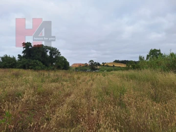 Terreno Agricola ou Rústico para Venda em Sapataria