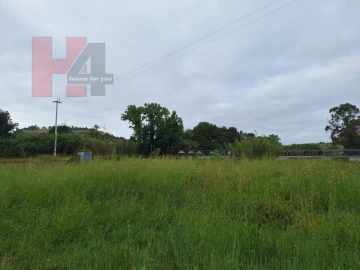 Terreno Agricola ou Rústico para Venda em Sapataria