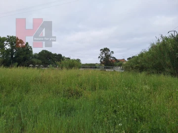 Terreno Agricola ou Rústico para Venda em Sapataria