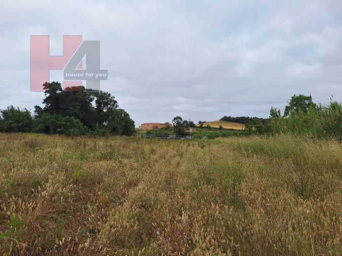 Terreno Agricola ou Rústico para Venda em Sapataria Foto 7