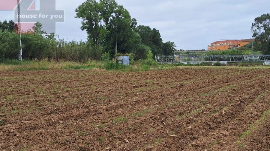 Terreno Agricola ou Rústico para Venda em Santo Quintino