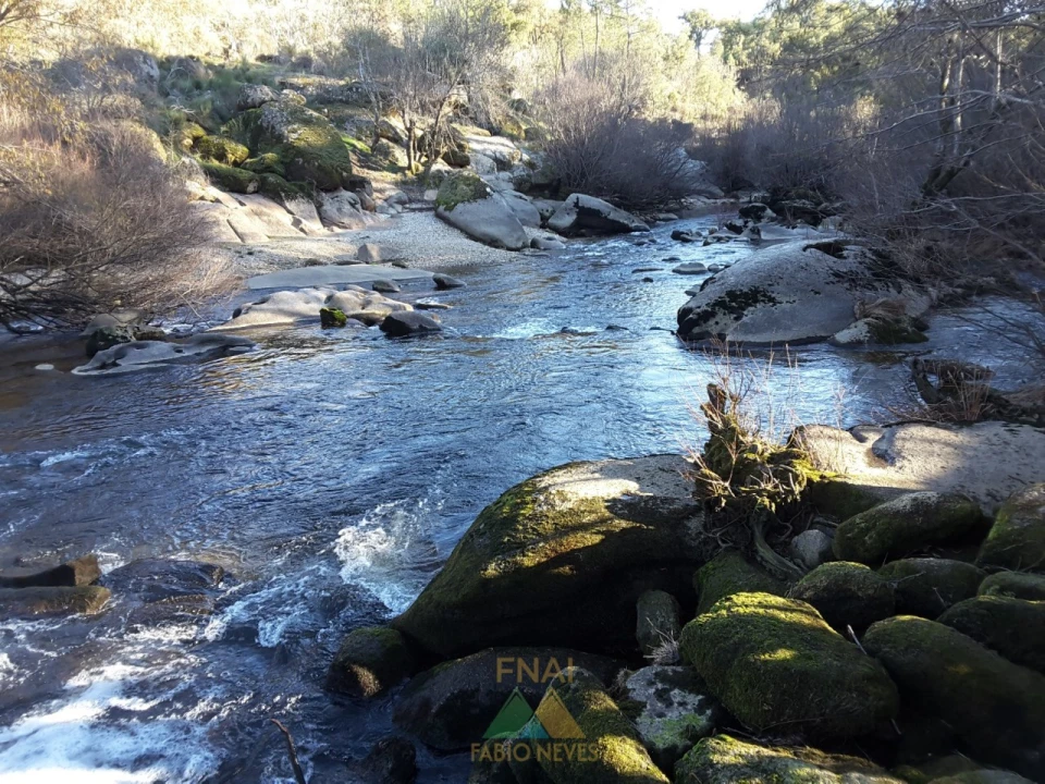 Terreno para Venda em Possacos Foto 5