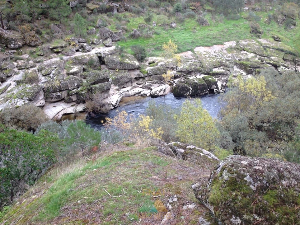 Terreno para Venda em Possacos Foto 9