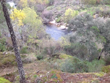 Terreno para Venda em Possacos