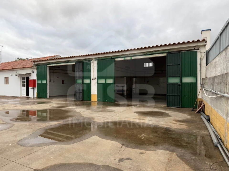 Armazém para Arrendamento em Benavente Foto 1