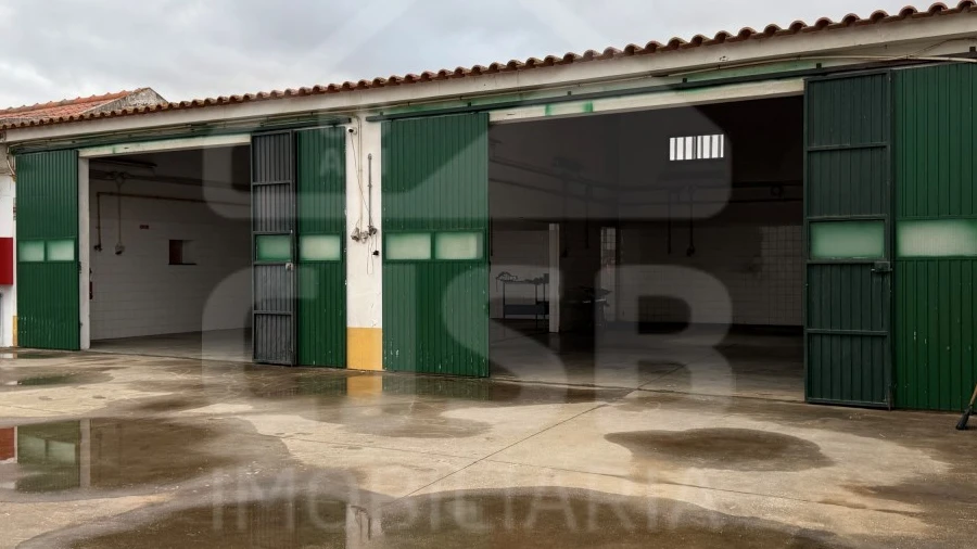 Armazém para Arrendamento em Benavente
