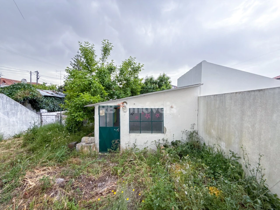 Prédio para Venda em Torres Novas (Santa Maria, Salvador e Santiago) Foto 44