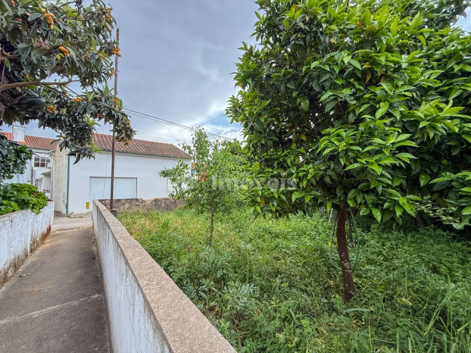 Prédio para Venda em Torres Novas (Santa Maria, Salvador e Santiago) Foto 45