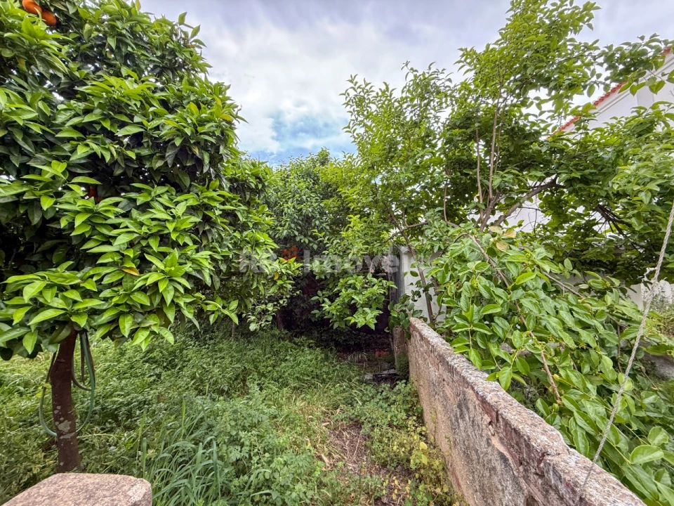 Prédio para Venda em Torres Novas (Santa Maria, Salvador e Santiago) Foto 65