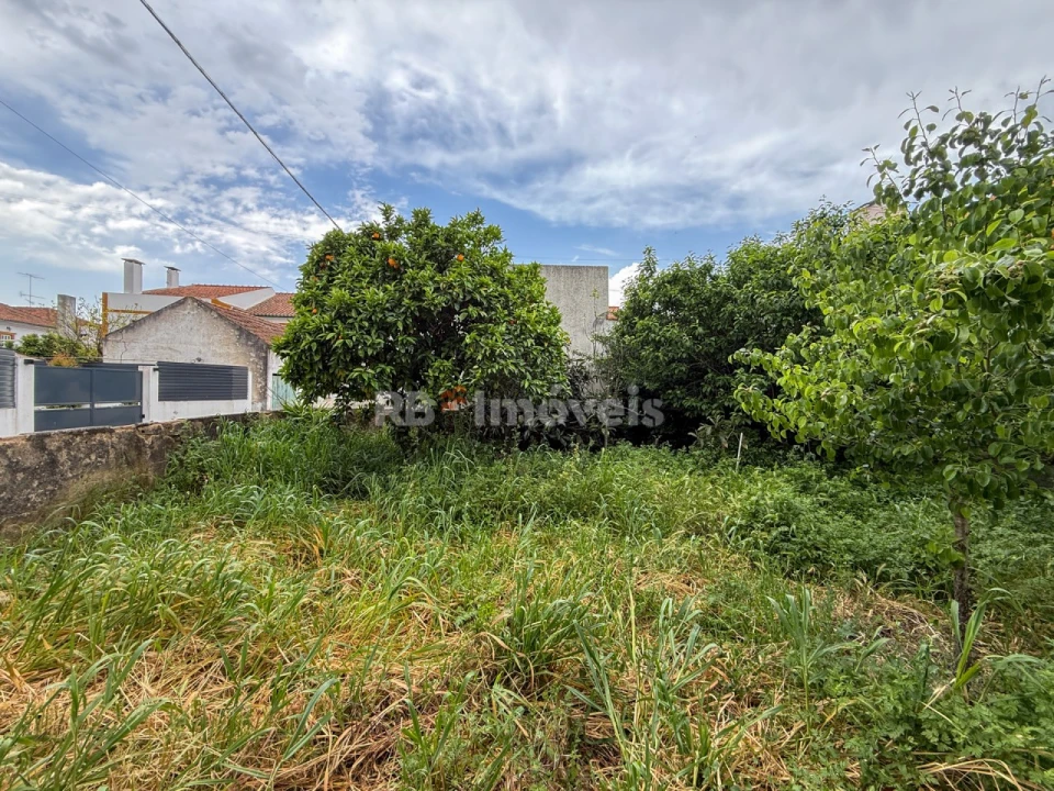 Prédio para Venda em Torres Novas (Santa Maria, Salvador e Santiago) Foto 66