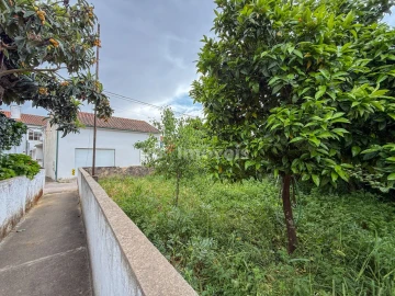 Prédio para Venda em Torres Novas (Santa Maria, Salvador e Santiago)