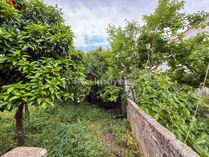 Prédio para Venda em Torres Novas (Santa Maria, Salvador e Santiago) Foto 65