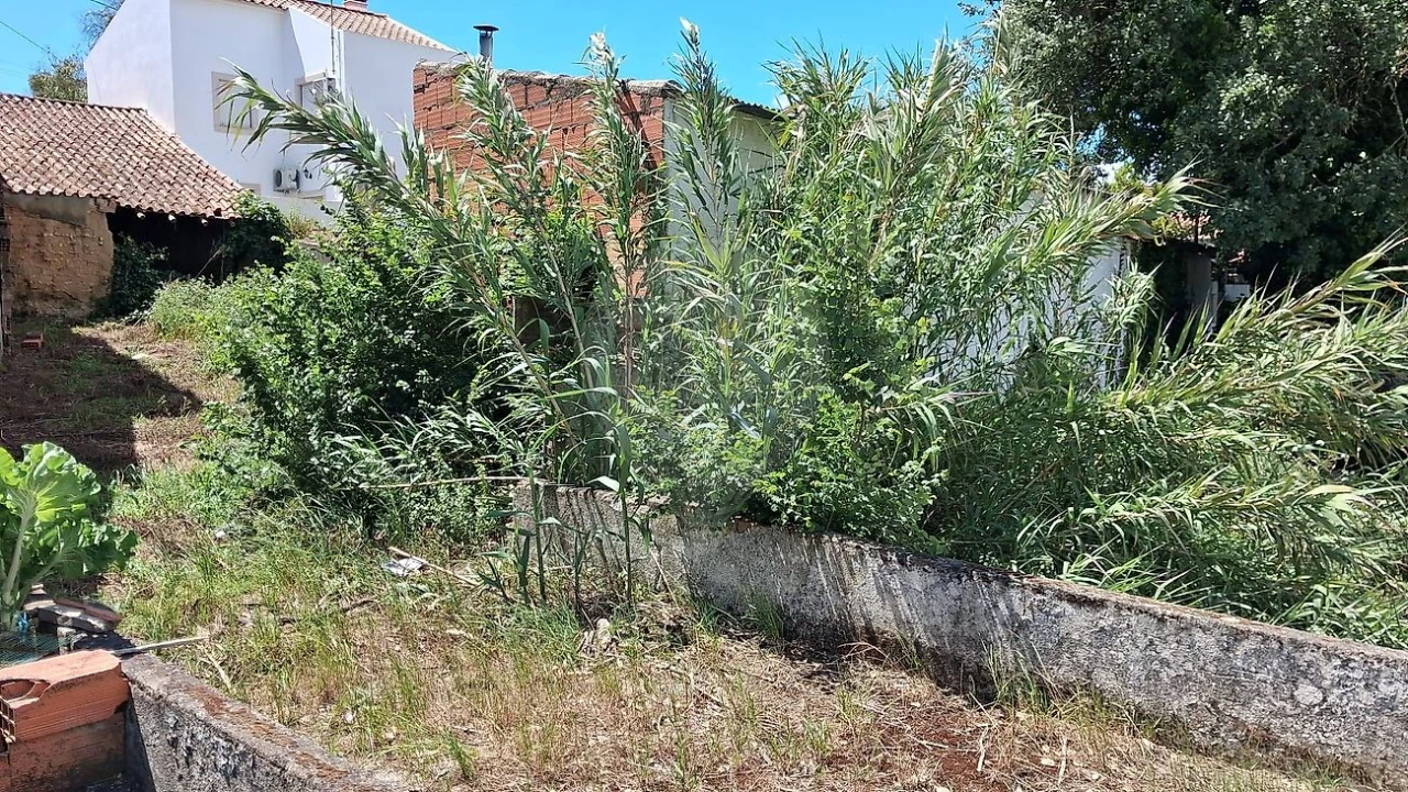 Moradia T3 para Venda em Aveiras de Cima Foto 6