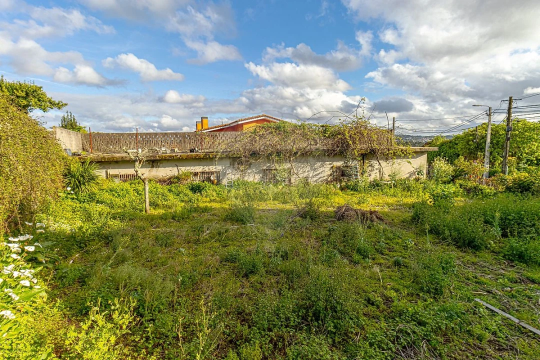 Armazém para Venda em Sanguedo Foto 4