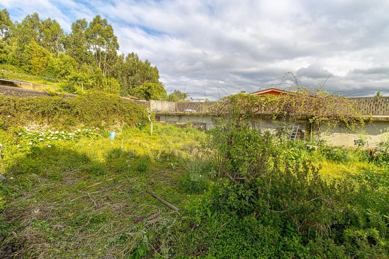 Armazém para Venda em Sanguedo Foto 10