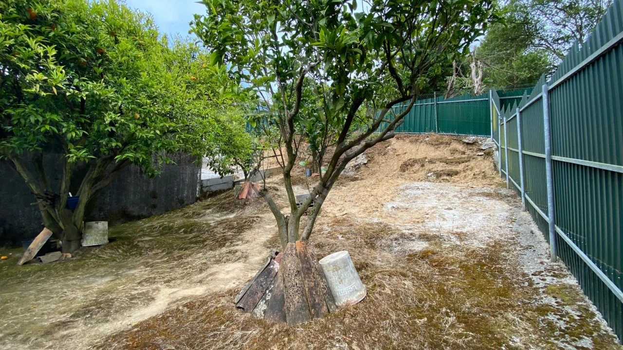 Moradia T3 para Venda em Roliça Foto 28