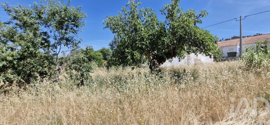 Terreno para Venda em Fraguas Foto 4