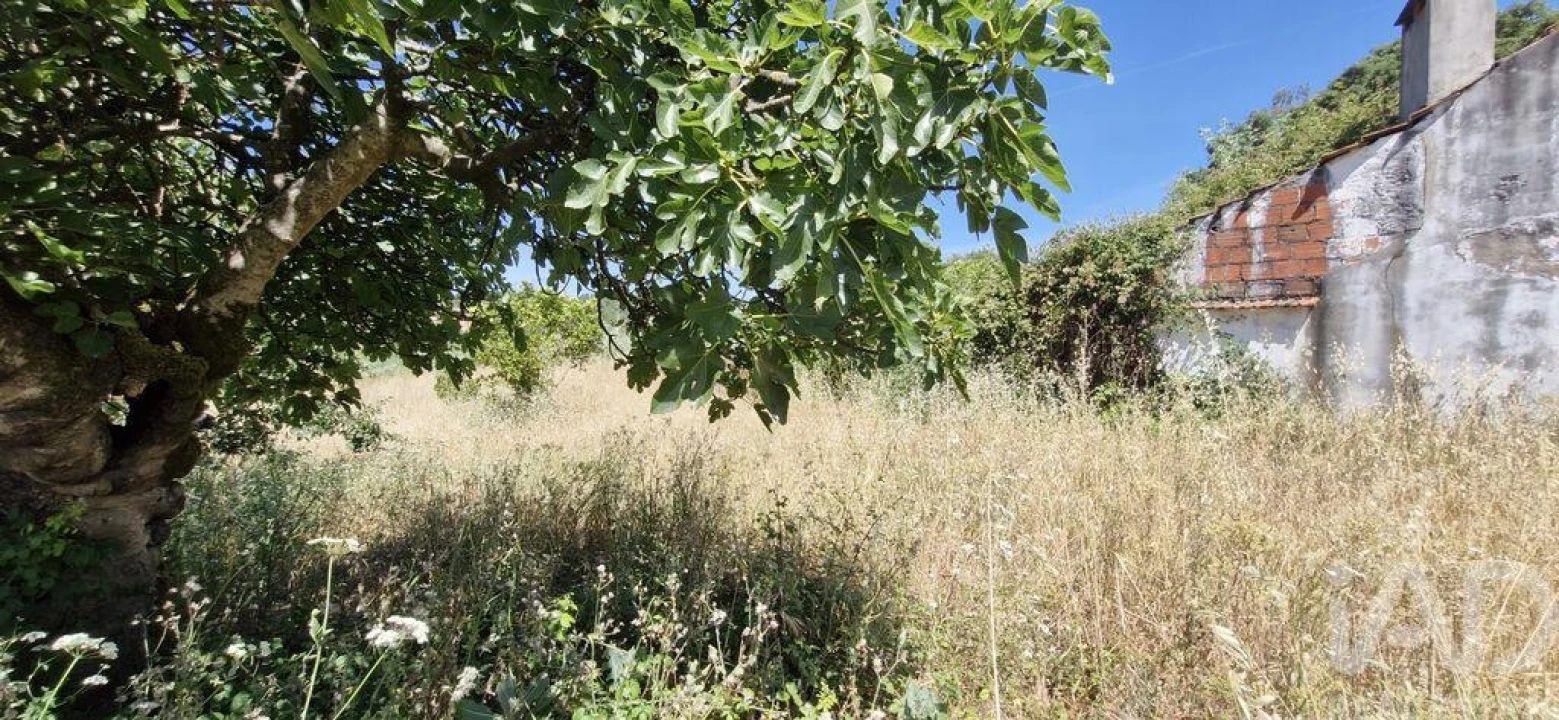 Terreno para Venda em Fraguas Foto 10