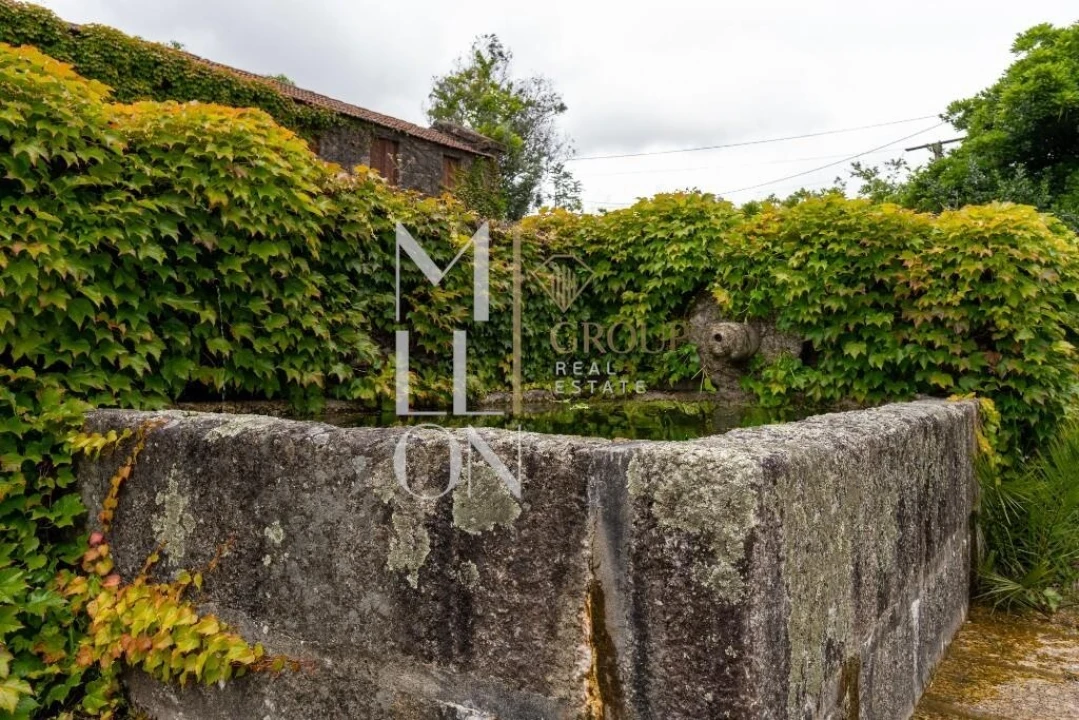 Quinta T8 para Venda em Vila Caiz Foto 4