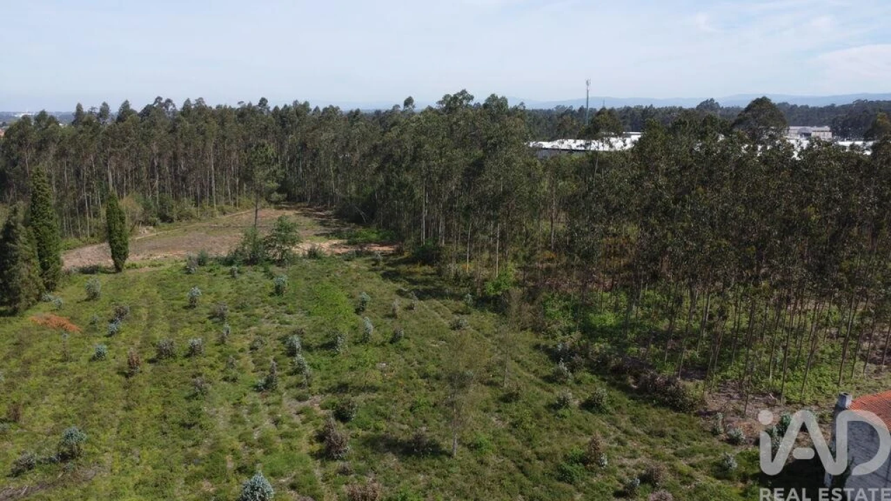 Terreno para Venda em Sangalhos Foto 6