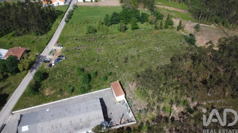 Terreno para Venda em Sangalhos