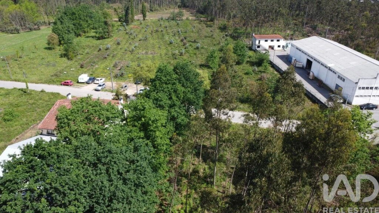 Terreno para Venda em Sangalhos Foto 3