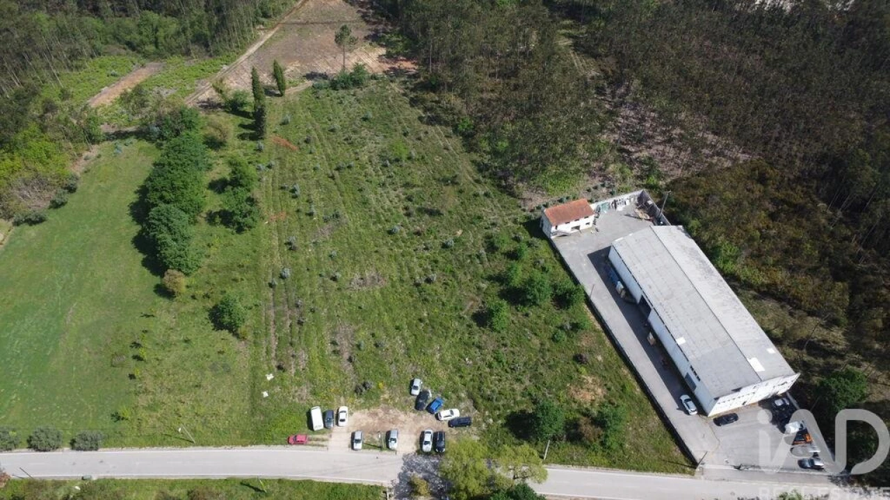 Terreno para Venda em Sangalhos Foto 5