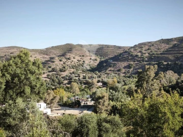 Terreno para Venda em Alcoutim e Pereiro