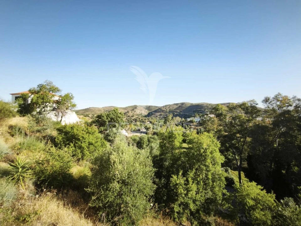 Terreno para Venda em Alcoutim e Pereiro Foto 3