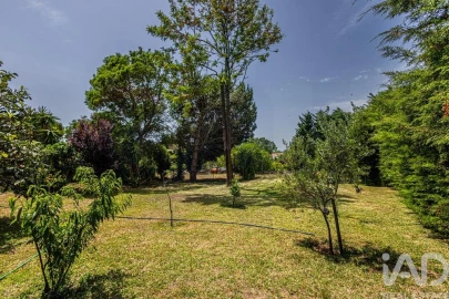 Moradia T3 para Venda em Nadadouro