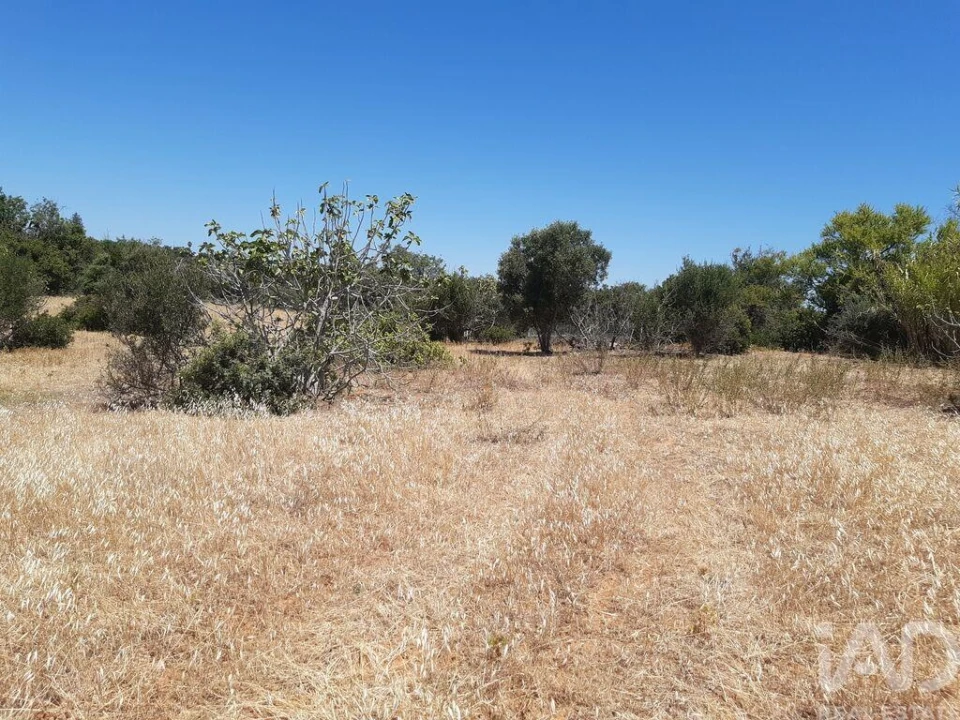 Moradia para Venda em Guia Foto 8