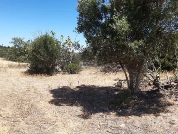 Moradia para Venda em Guia