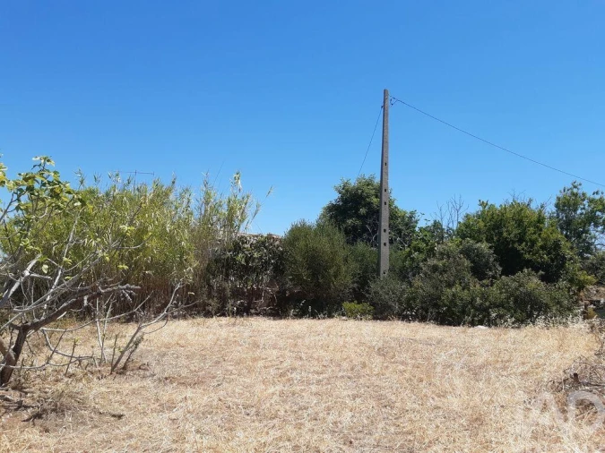 Moradia para Venda em Guia Foto 9