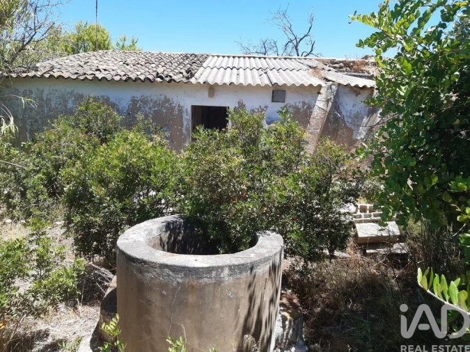 Moradia para Venda em Guia Foto 3
