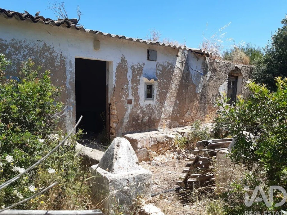 Moradia para Venda em Guia Foto 2