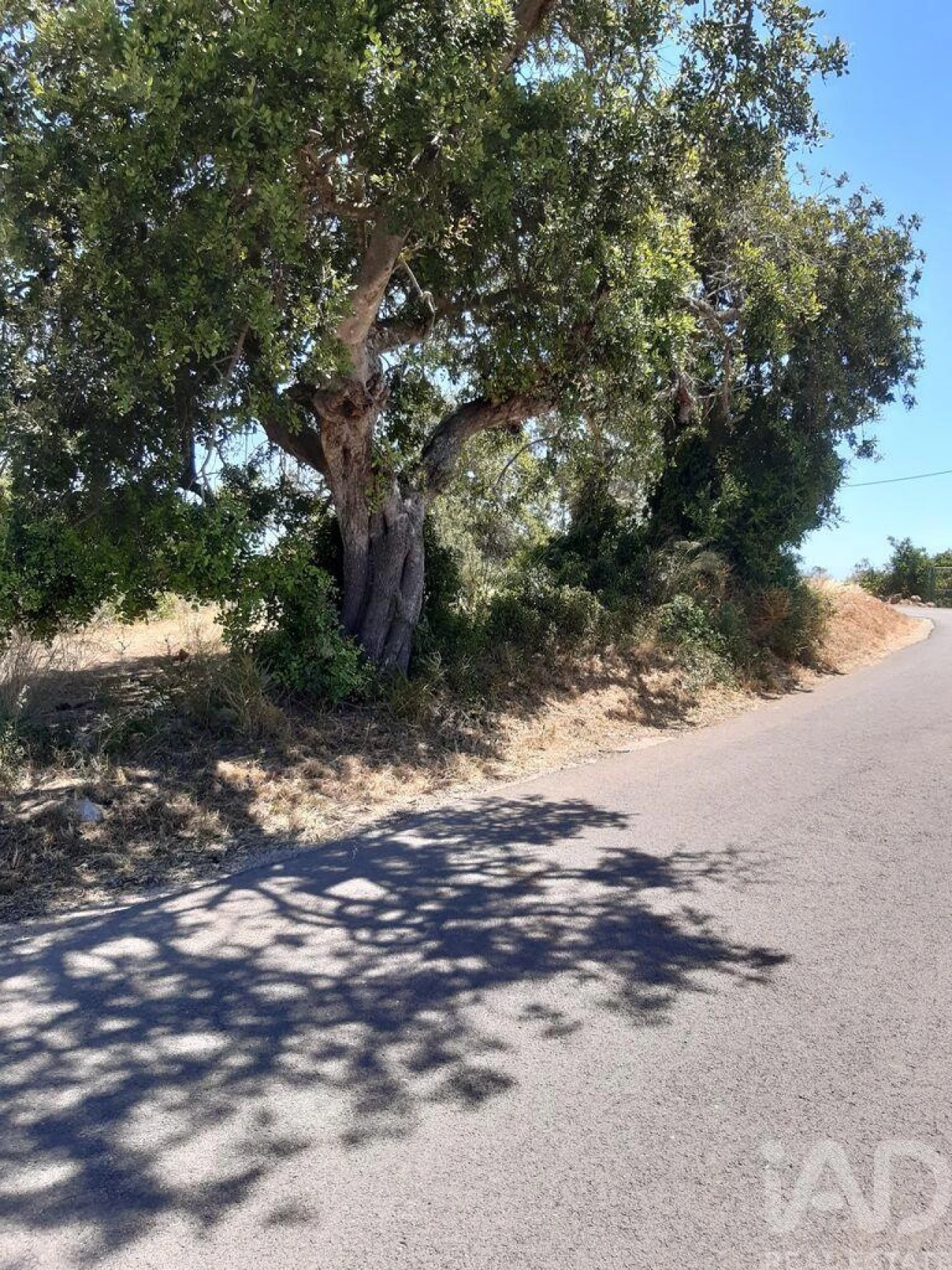 Moradia para Venda em Guia Foto 6