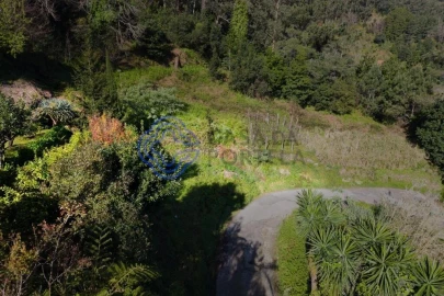 Terreno para Venda em São Vicente