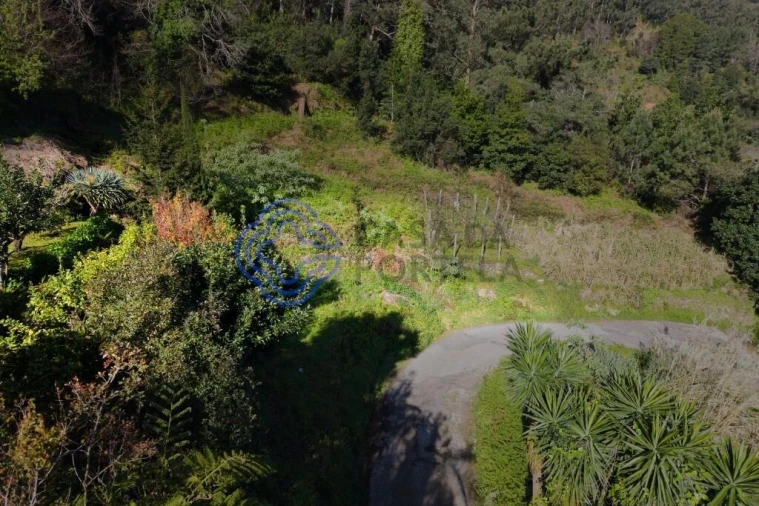 Terreno para Venda em São Vicente Foto 3
