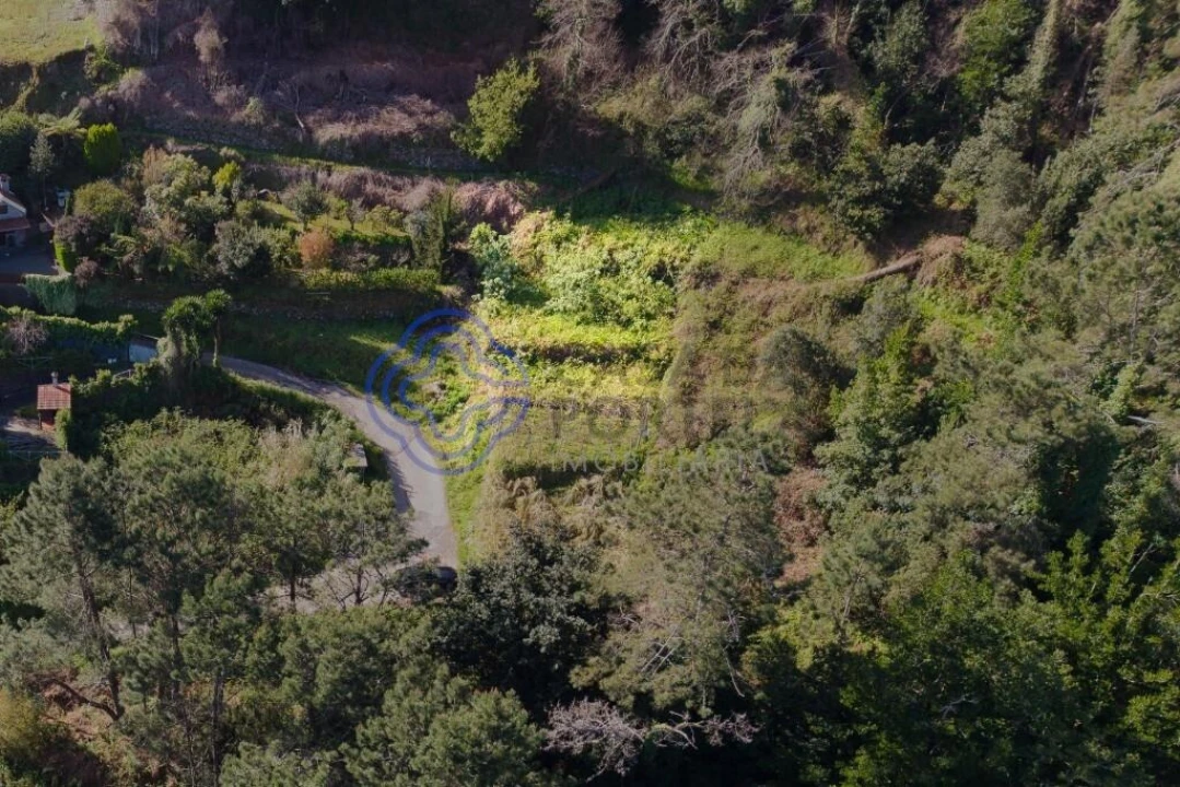 Terreno para Venda em São Vicente Foto 7